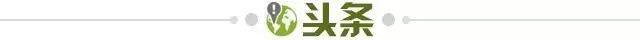 36f4268e-4c1d-4d92-842a-924f958d1584.jpg@!img01